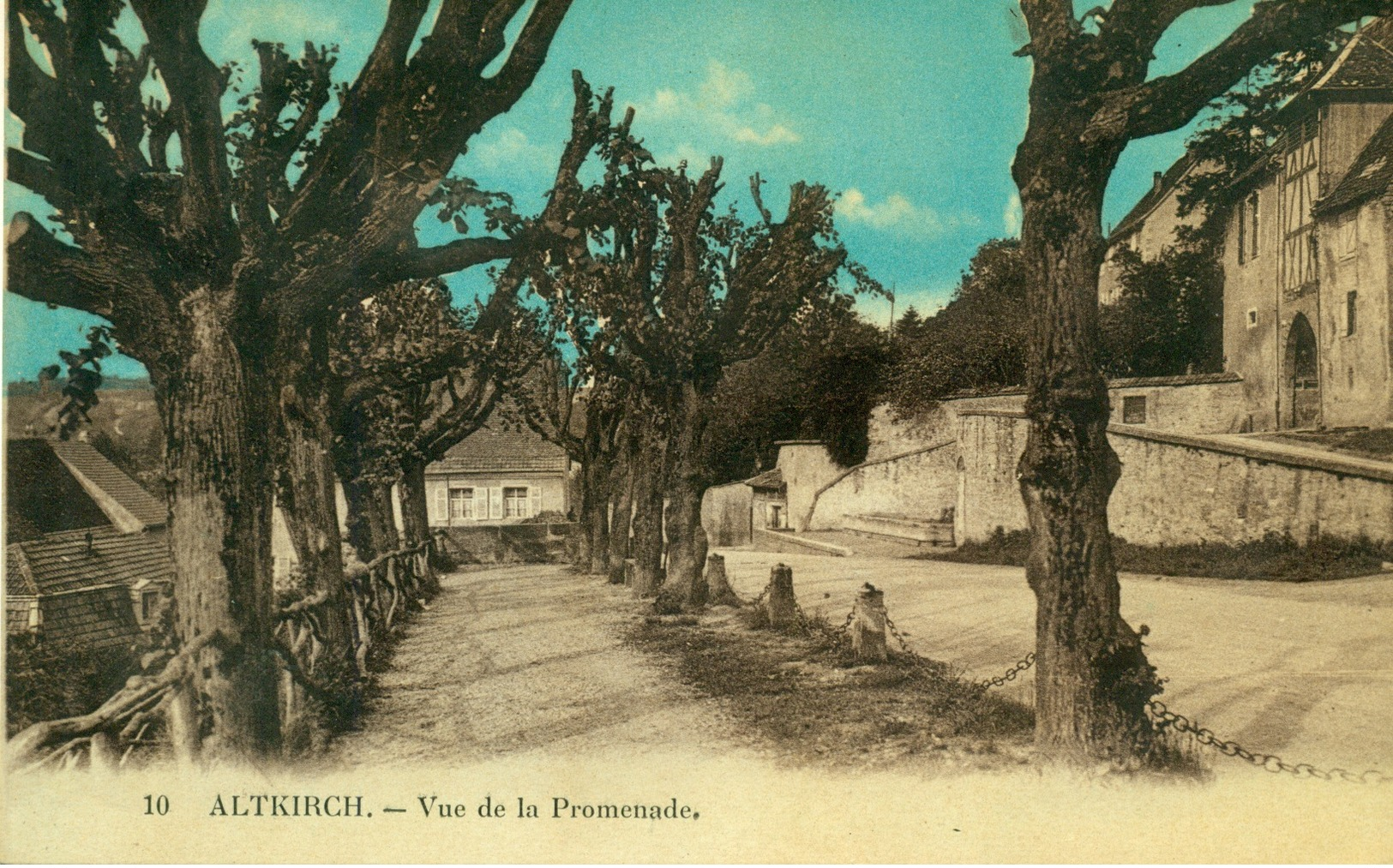 Altkirch. Vue De La Promenade - Altkirch