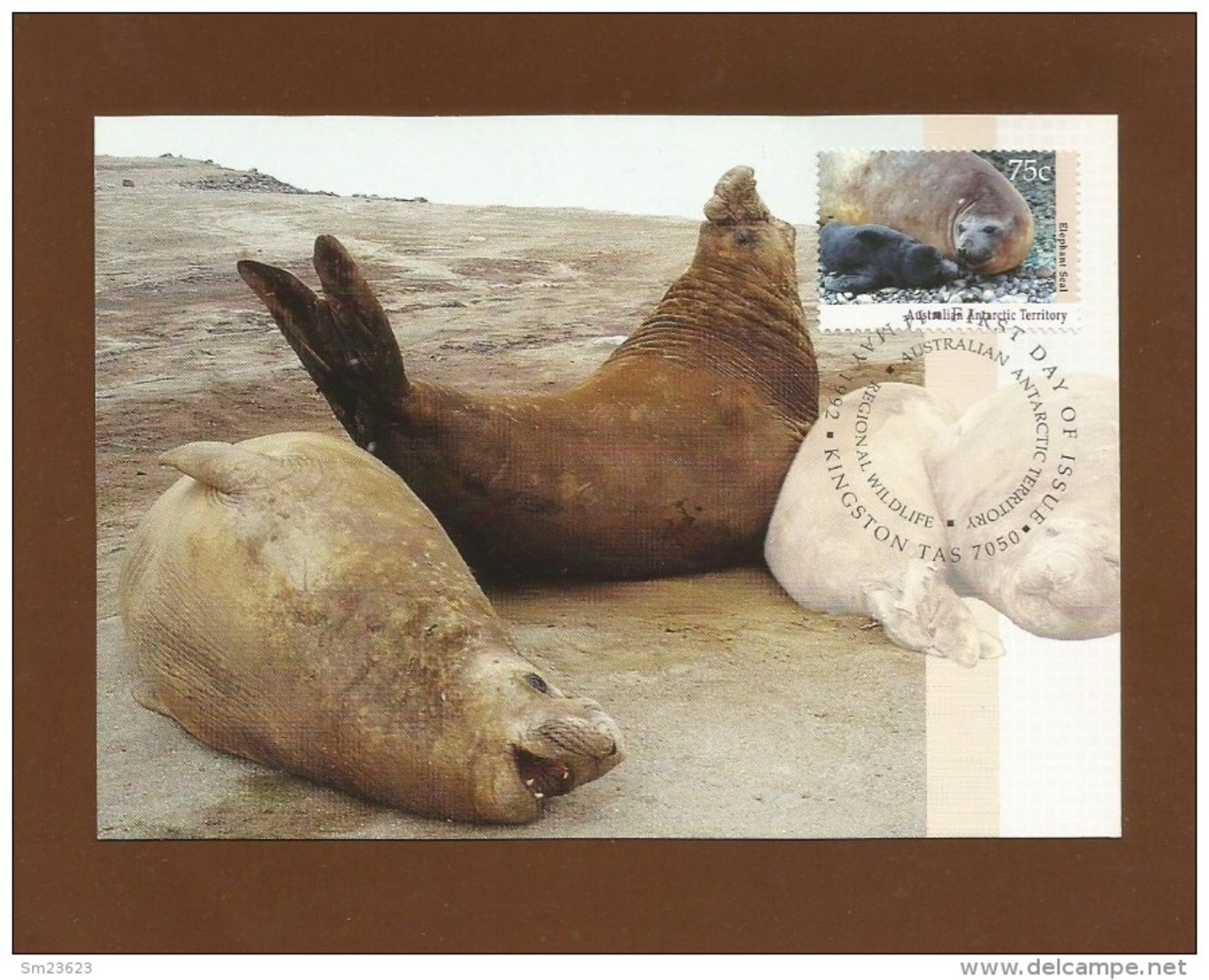 AAT 1992  Mi.Nr. 91 ,  Elephant Seal - Maximum Card - First Day  14 May 1992 - Tarjetas – Máxima