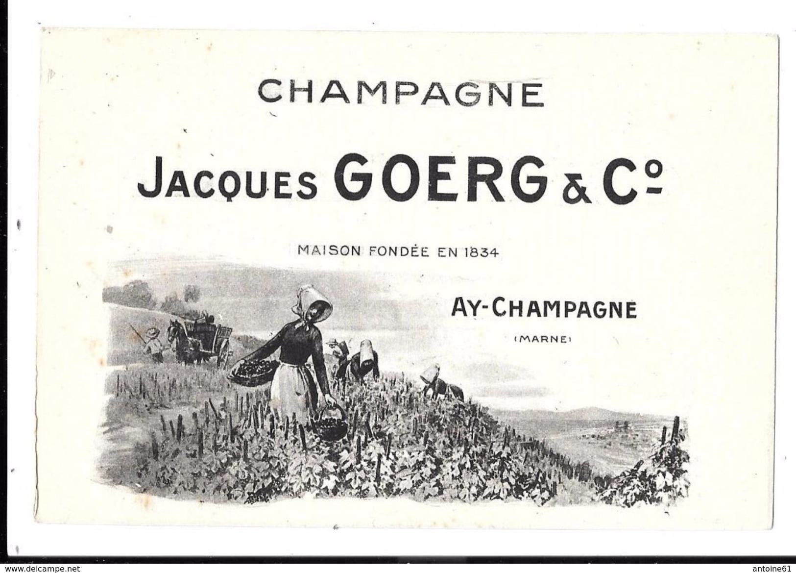 AY CHAMPAGNE - Carte Publicitaire Champagne Jacques GOERG & C° - Ay En Champagne