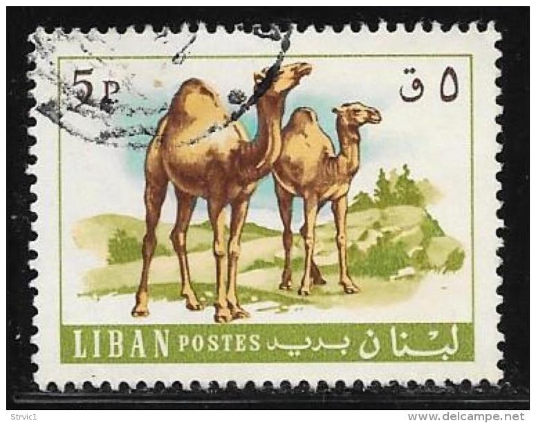 Lebanon, Scott # 456 Used Camels, 1968 - Liban