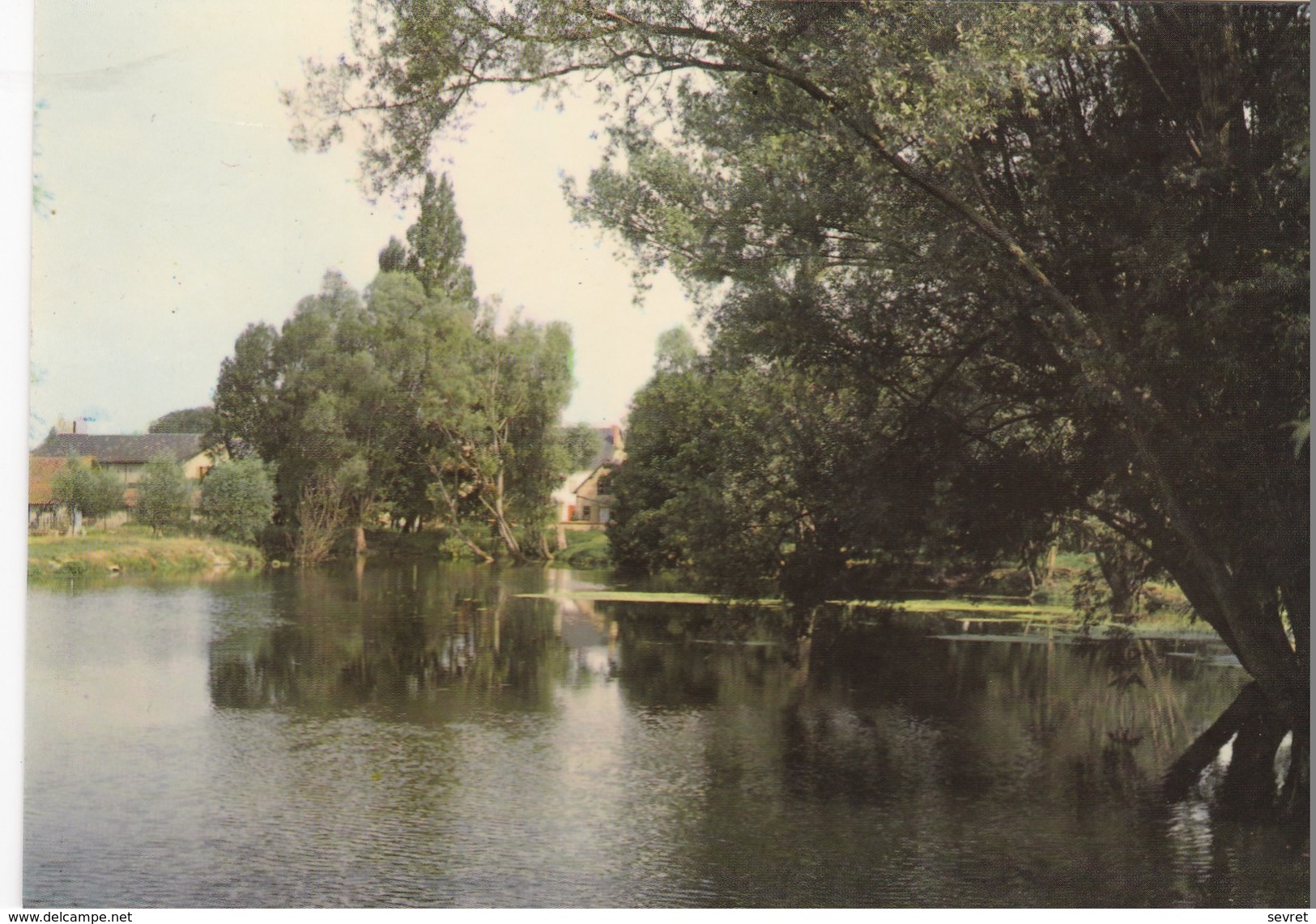 MEHUN SUR YEVRE. - Le Lac. CPM RARE - Mehun-sur-Yèvre