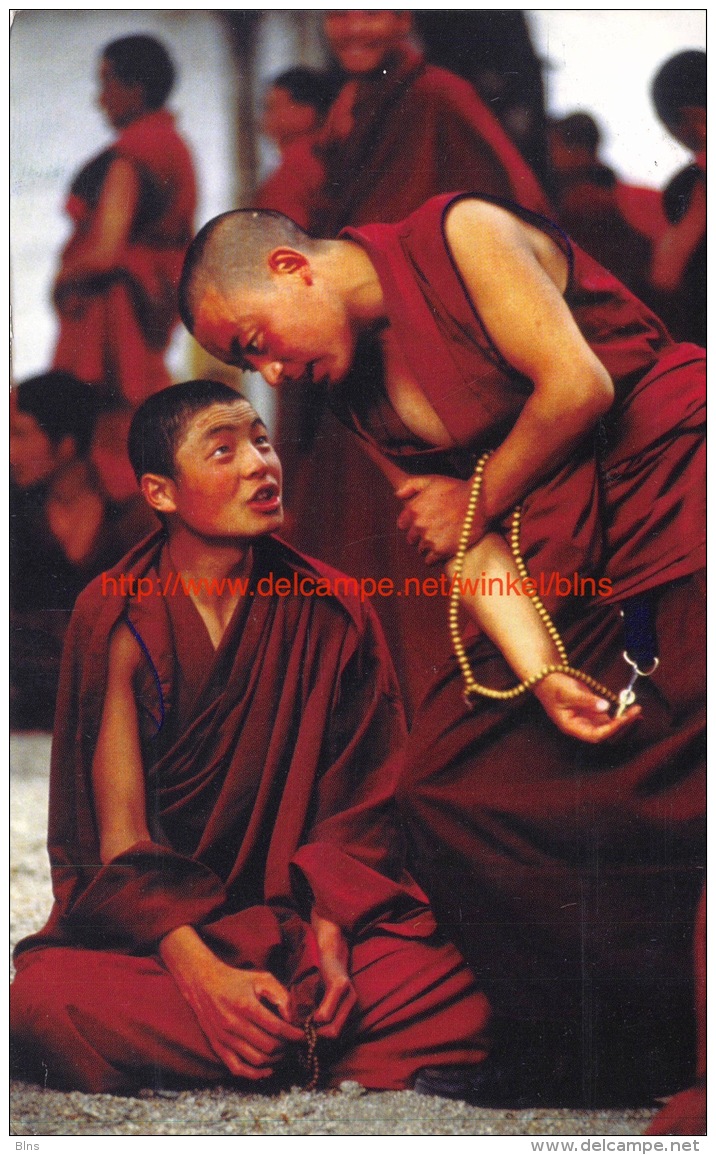 Monks Debating - Nepal - Népal