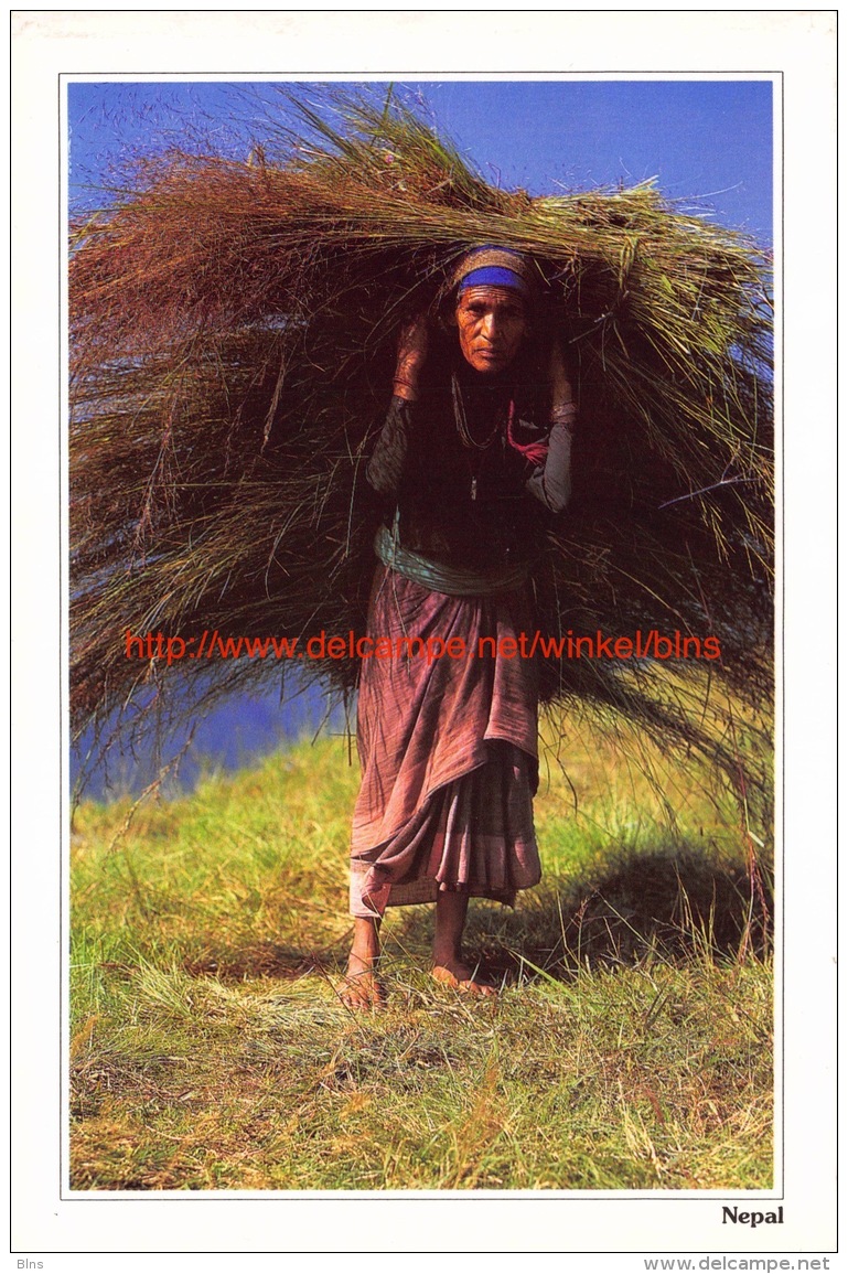 Woman Carrying Animal Fodder - Nepal - Népal