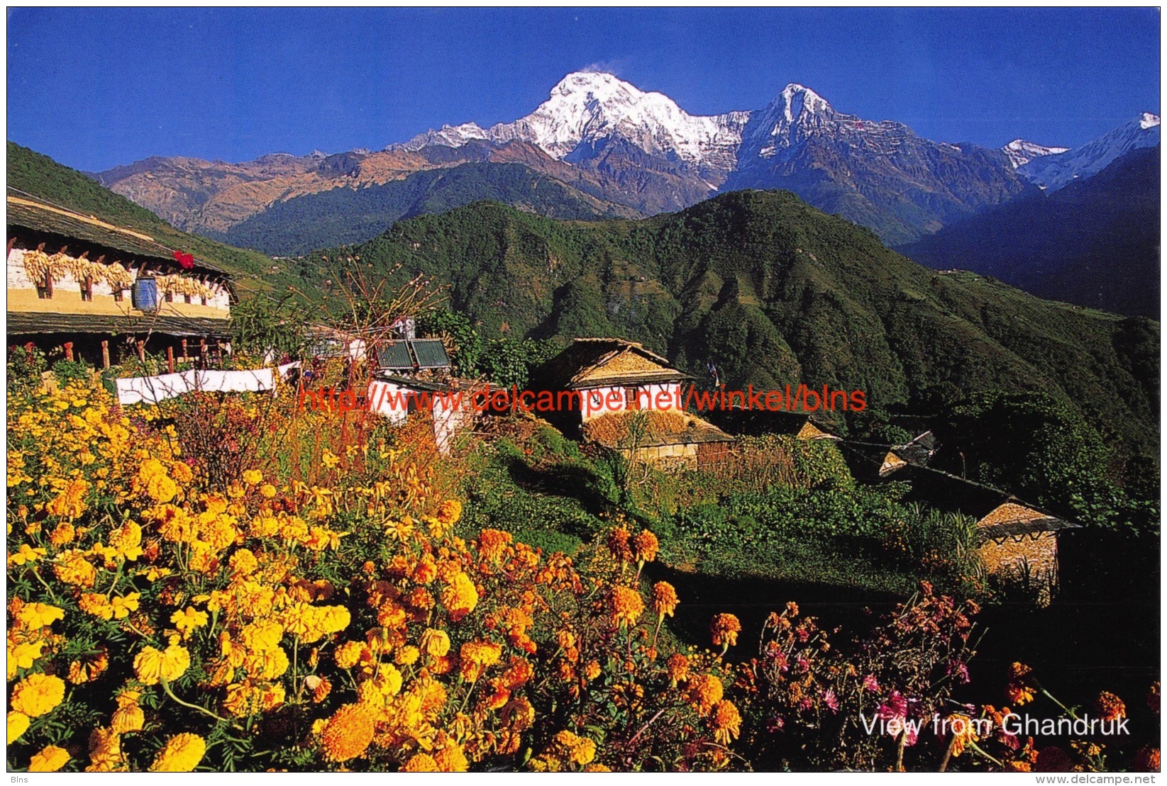 View From Ghandruk - Nepal - Népal