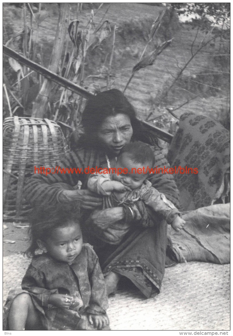 Children Of The Street - Shangrila - Nepal - Népal