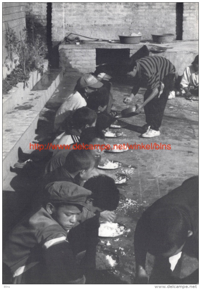 Children Of The Street - Shangrila - Nepal - Népal