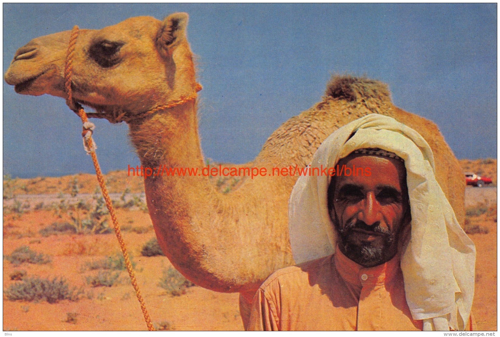 A Bedouin With His Camel - Dubai