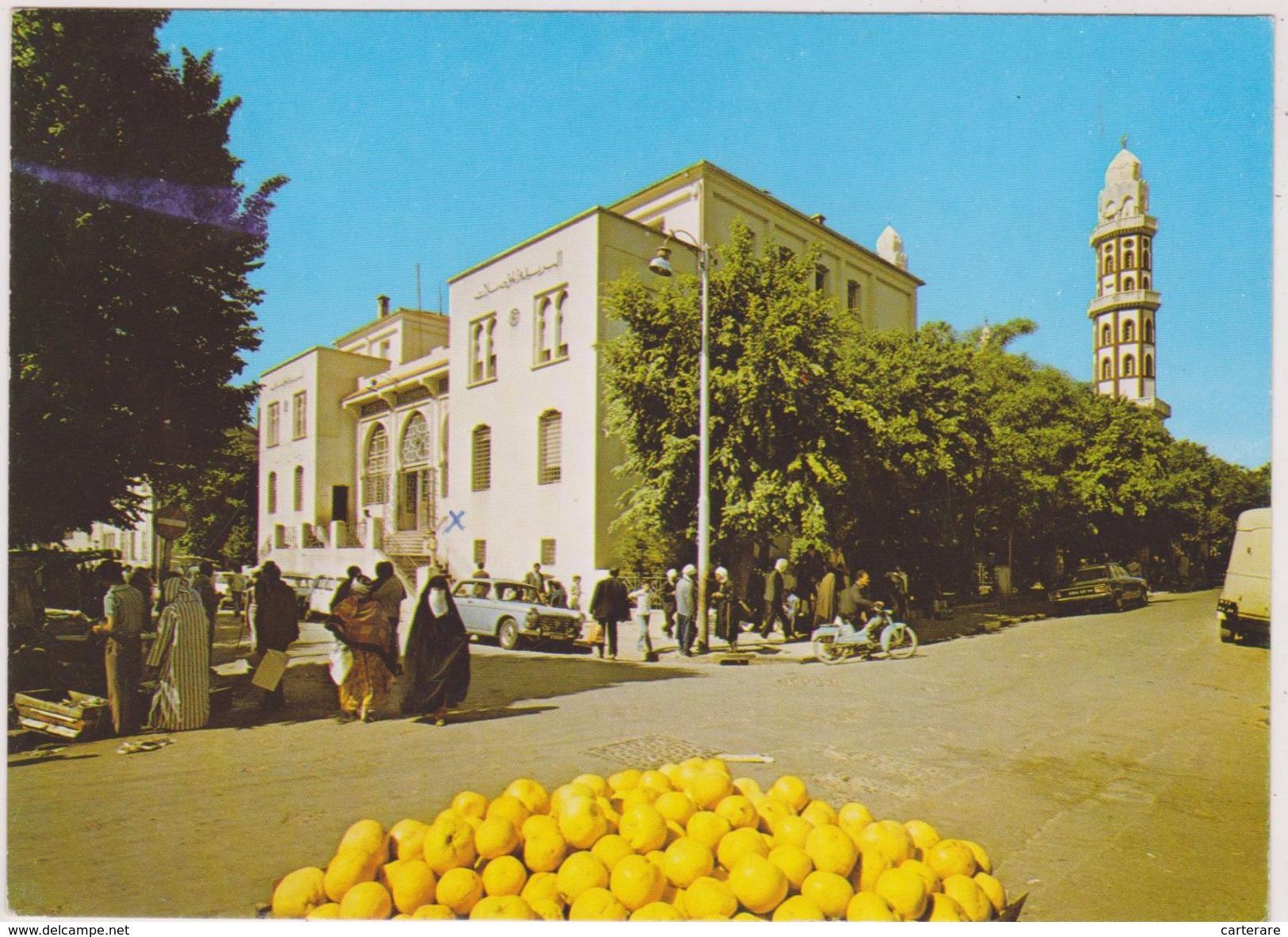 AFRIQUE,MAGHREB,HAUTS PLATEAUX,SETIF,LA POSTE,PAMPLEMOUSSE - Sétif