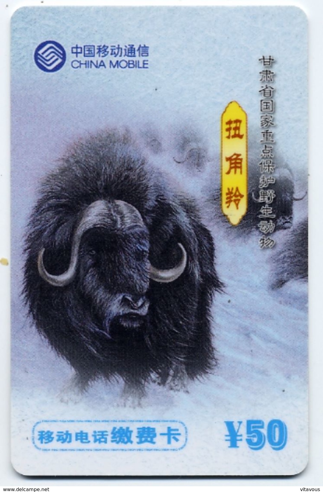 Buffle Buffalo Animal Jungle - Télécarte  Phonecard (S.268) - Dschungel