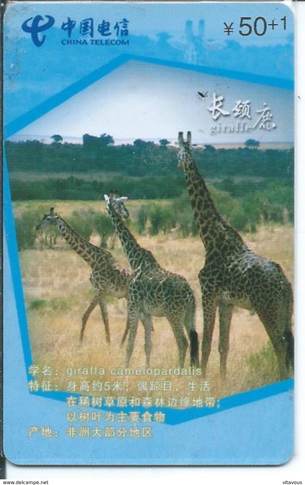 Girafe Giraffe Jungle Animal Télécarte Puce  Phonecard  Karte (S.270) - Chine
