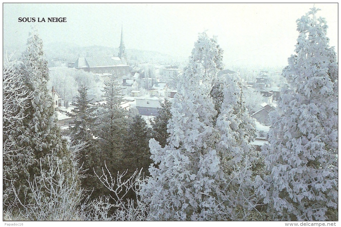 CA - Q - Sous La Neige : Le Charme De Dame Nature Arborant Sa Parure... Na N'a Pas Son Pareil Au Saguenay&ndash;Lac-Sain - Saguenay