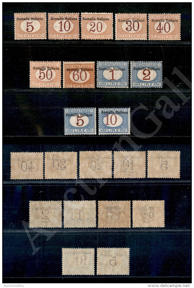 1909 - Segnatasse (12/22) - Serie Completa Di 11 Valori - Gomma Integra (1.375) - Other & Unclassified