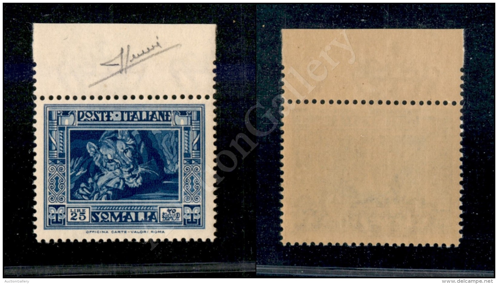 1935/38 - 25 Lire Pittorica 2&deg; Emissione (230) Bordo Foglio - Gomma Integra - Sorani (3.500+) - Other & Unclassified