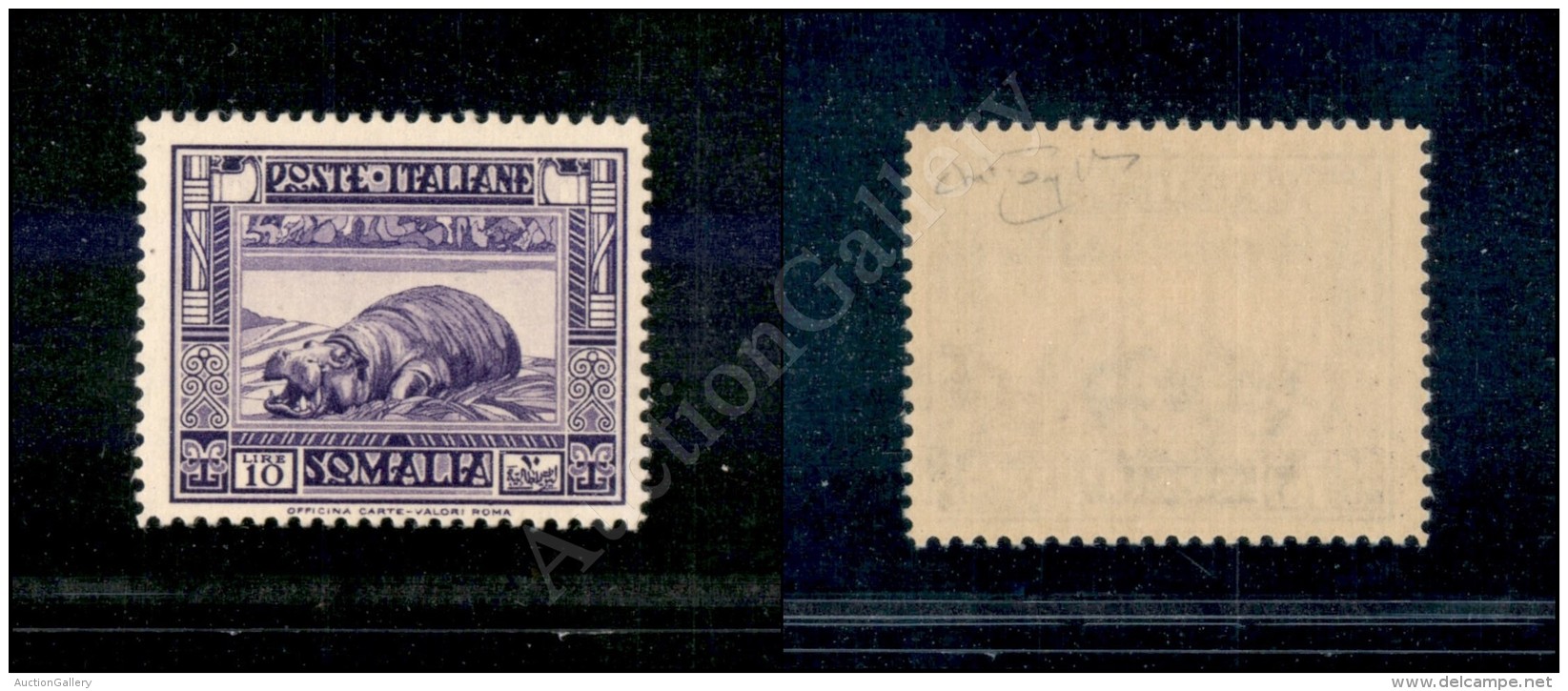 1935/38 - 10 Lire Pittorica 2&deg; Emissione (228) - Gomma Integra - Raybaudi (1.125) - Sonstige & Ohne Zuordnung