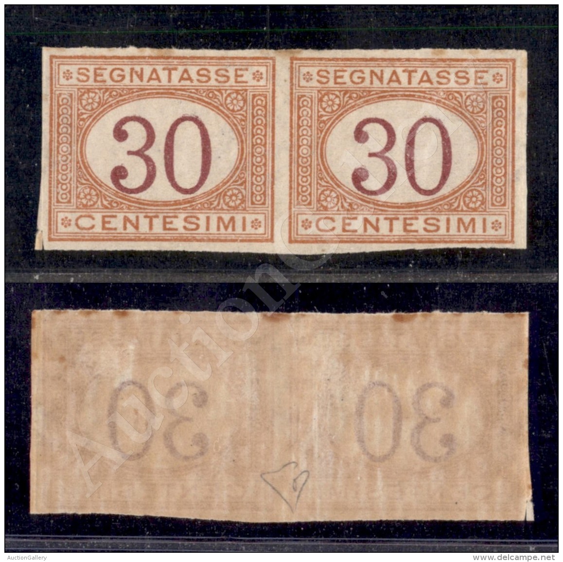 1890 - 30 Cent (23g - Segnatasse) - Coppia Non Dentellata Nuova - Lieve Ingiallimento Nella Gomma In Alto (9.000) - Other & Unclassified