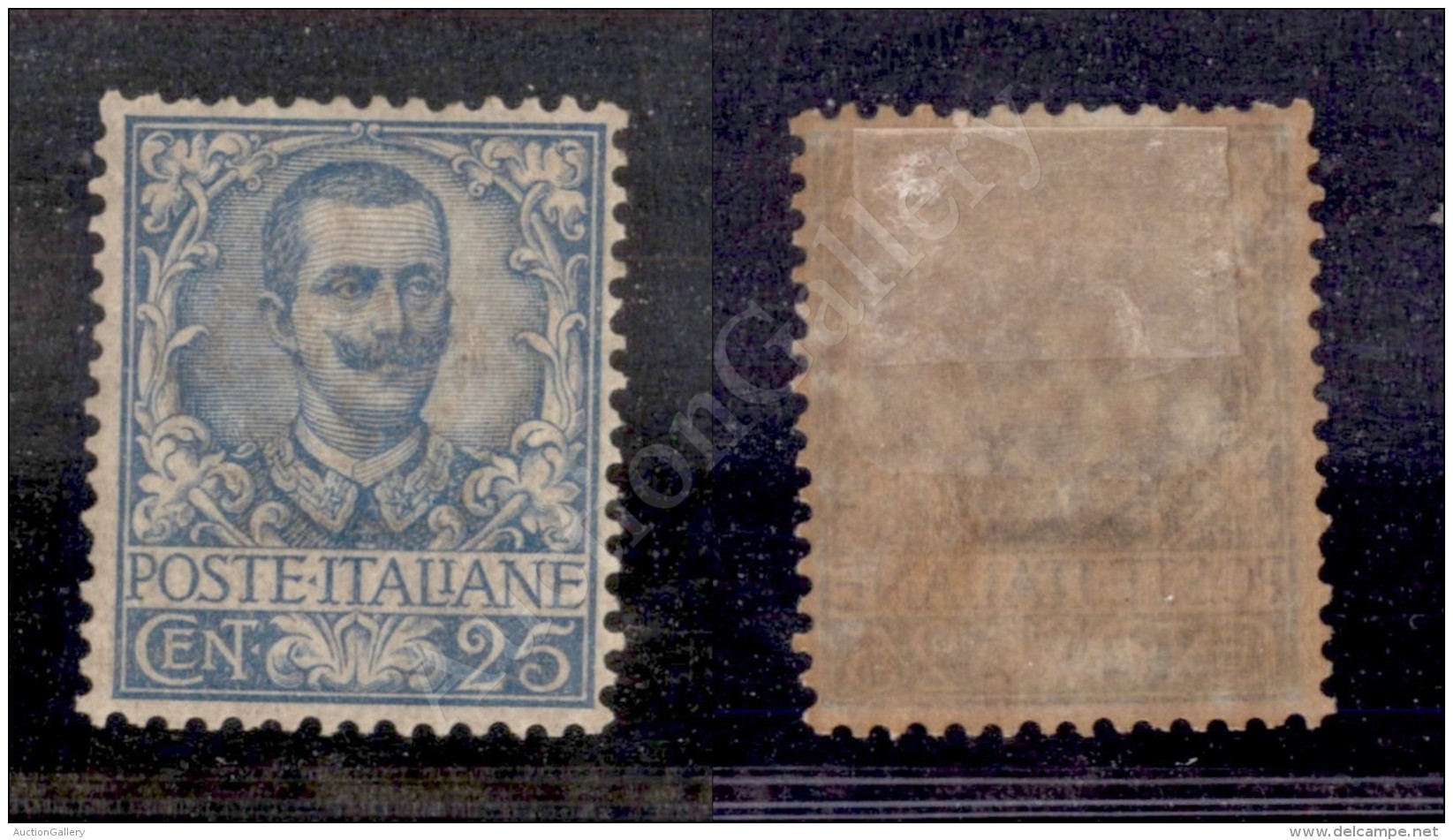 1901 - 25 Cent Azzurro Floreale (73) Nuovo Con Gomma - Ben Centrato - Sonstige & Ohne Zuordnung