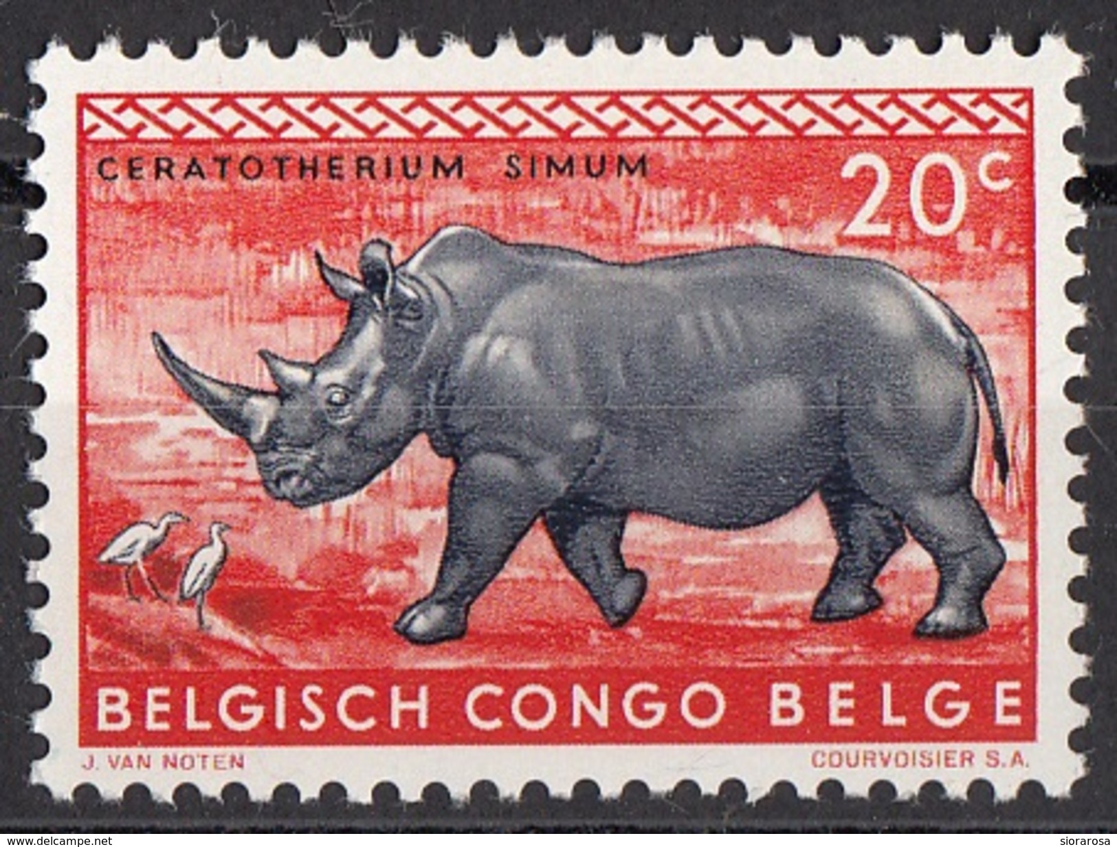 307 Congo Belga 1959 Rinoceronte Bianco Belge Belgisch Belgium Nuovo - Rhinozerosse