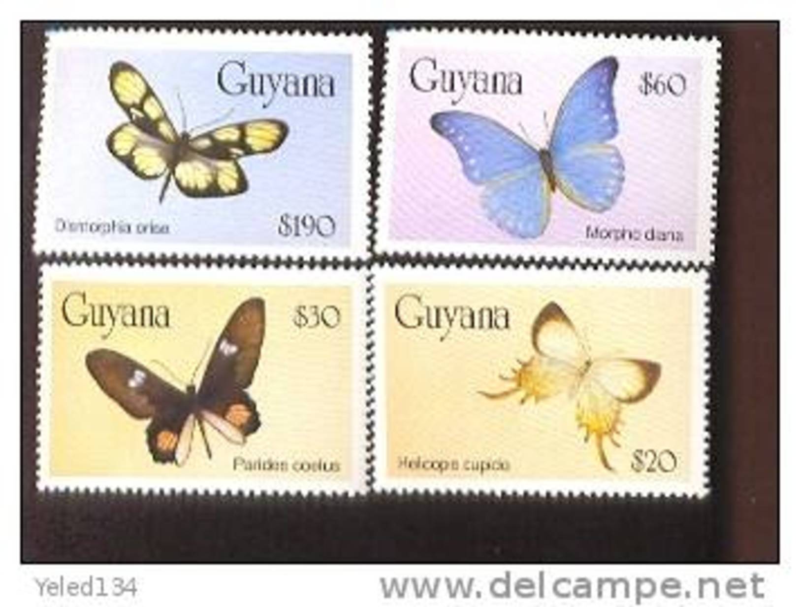 GUYANA  2823-6  MINT NEVER HINGED SET OF STAMPS OF BUTTERFLIES-INSECTS   # S-445-2  ( - Altri & Non Classificati