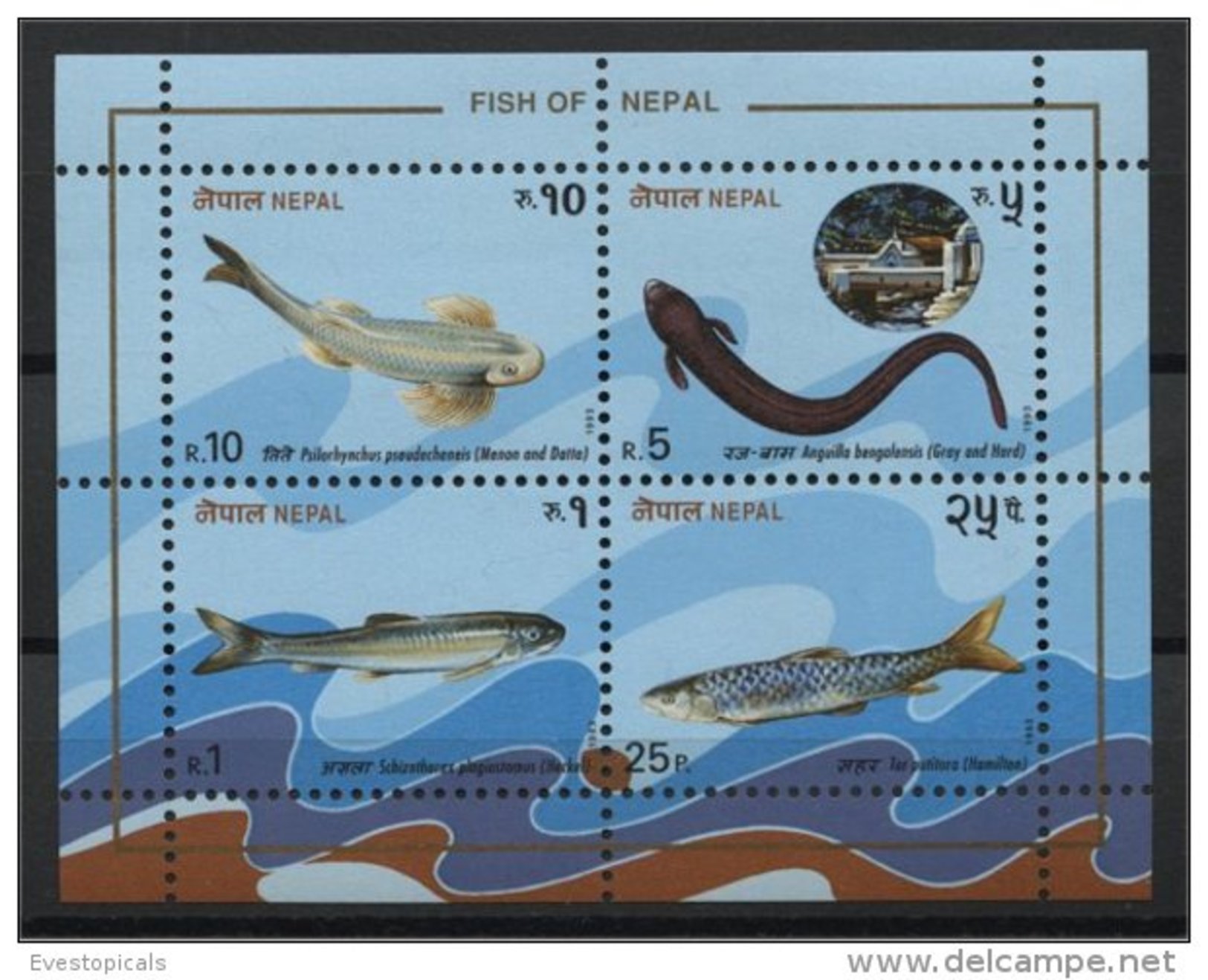 NEPAL, SOUVENIR SHEET FISHS MNH - Népal