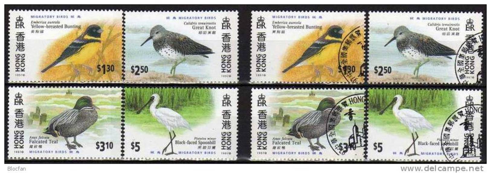 Nationaler Naturschutz Zugvögel 1997 Hongkong 811/4 **/o 10&euro; Ammer Löffler Ente Strandläufer Bird Sets Of HONG KONG - Oblitérés