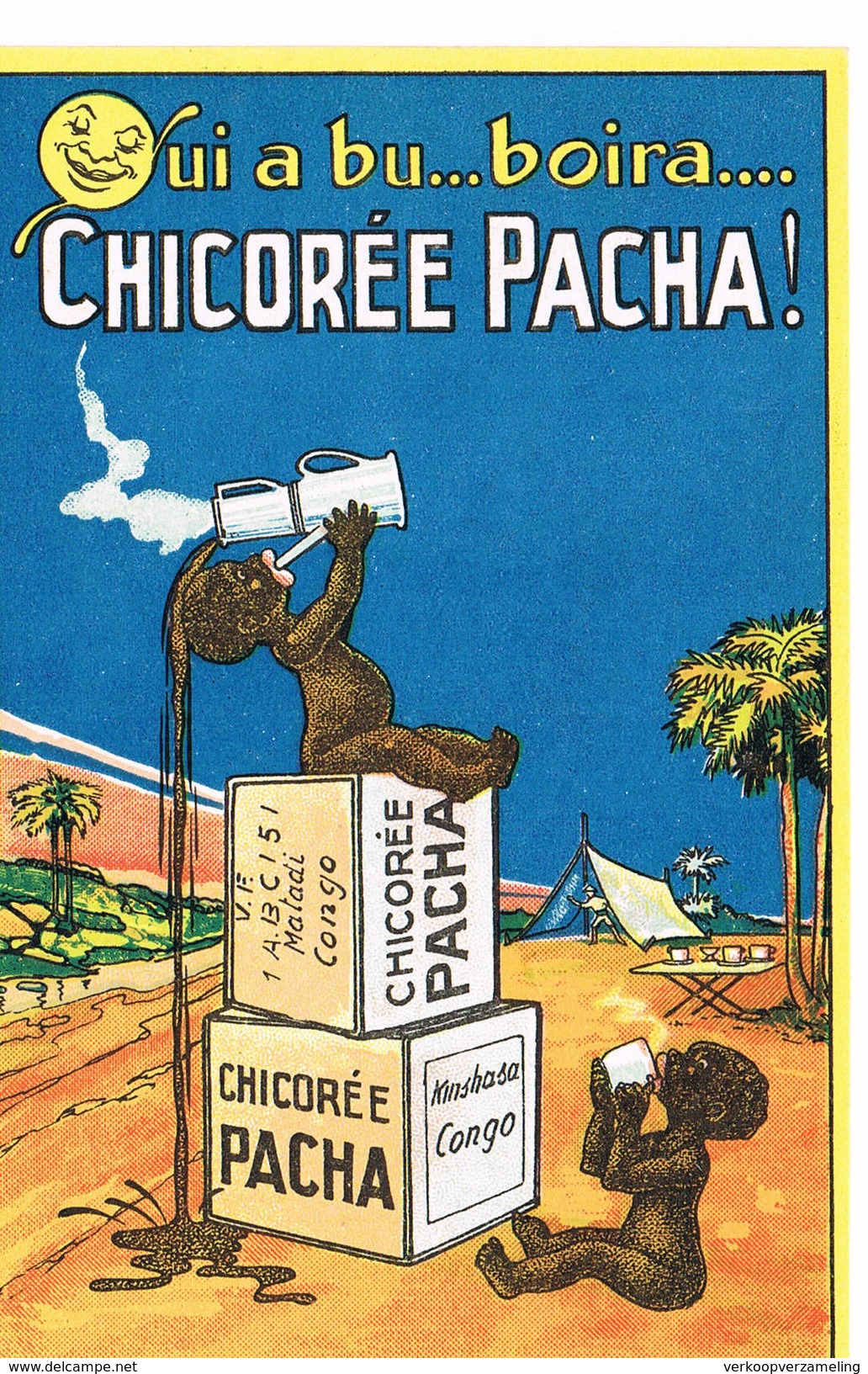 J  Chicoree Pacha - Publicité