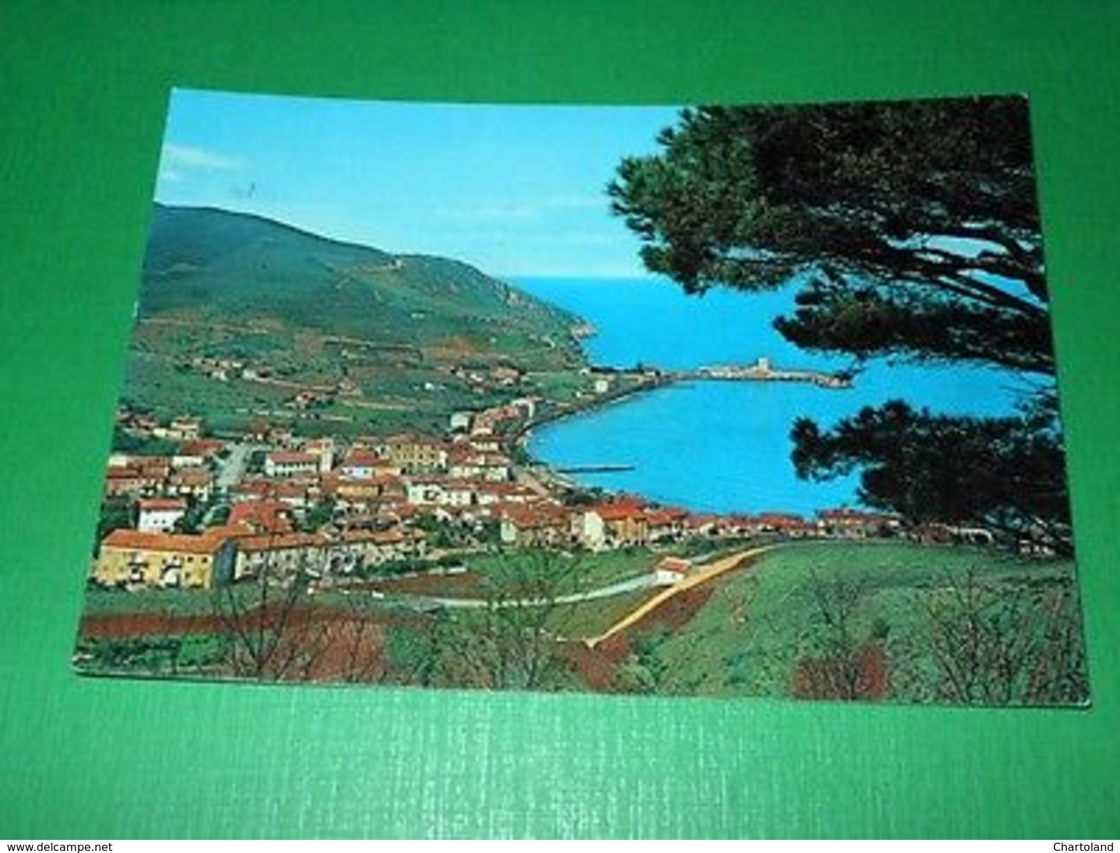 Cartolina Isola D' Elba - Marciana Marina - Panorama 1960 - Livorno