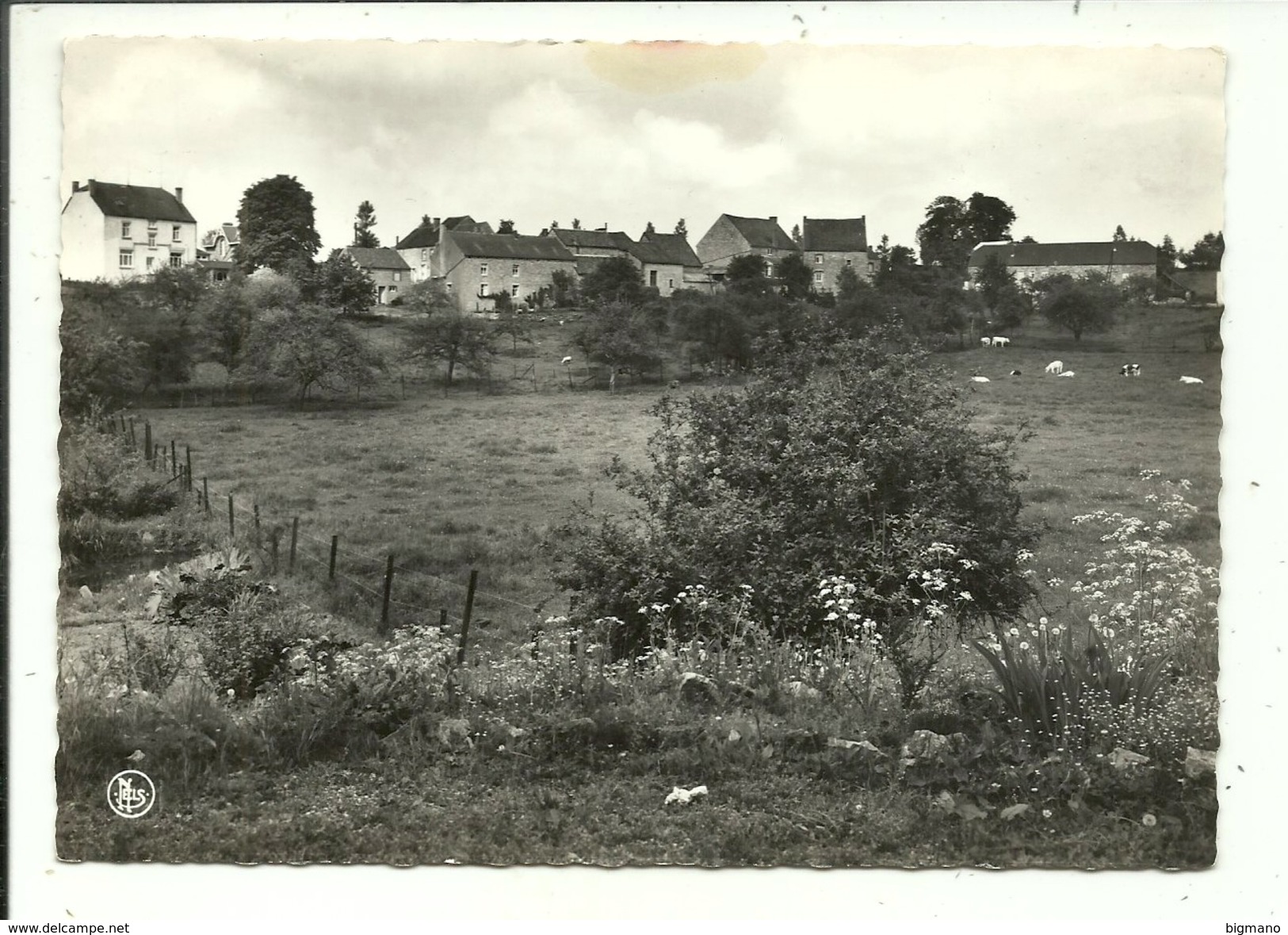 Weillen Le Haut Du Village - Onhaye