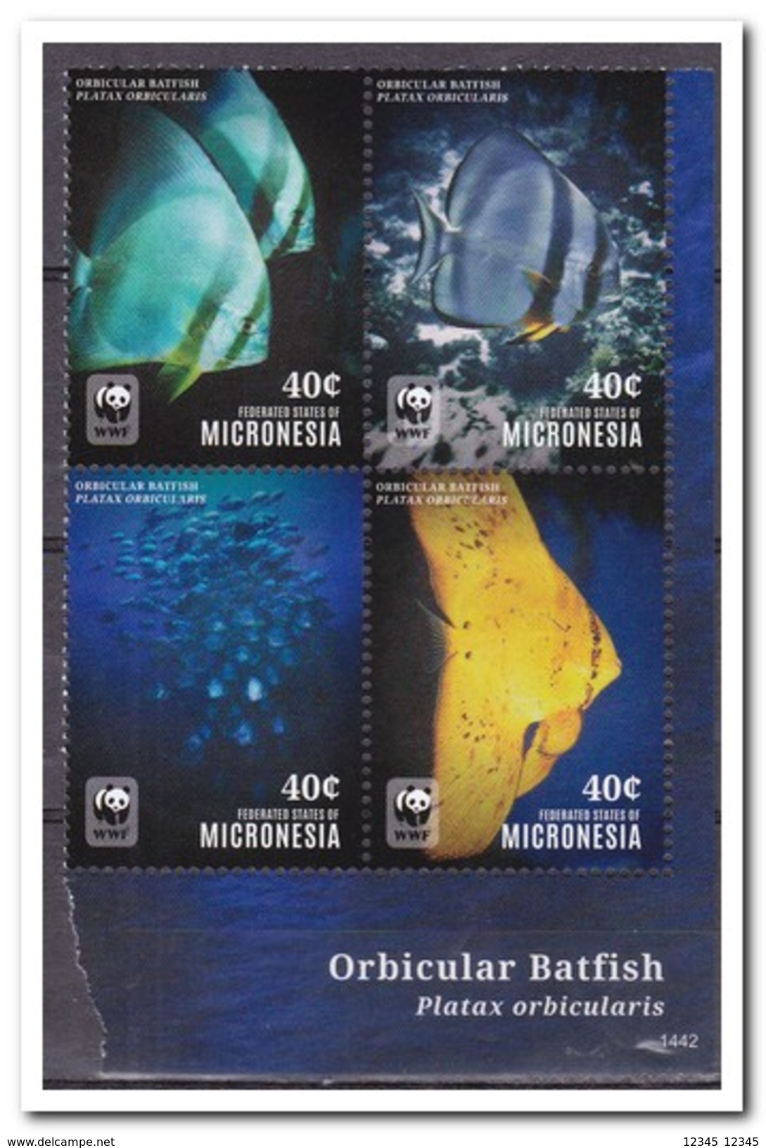 Micronesië 2014, Postfris MNH, WWF, Fish - Mikronesien