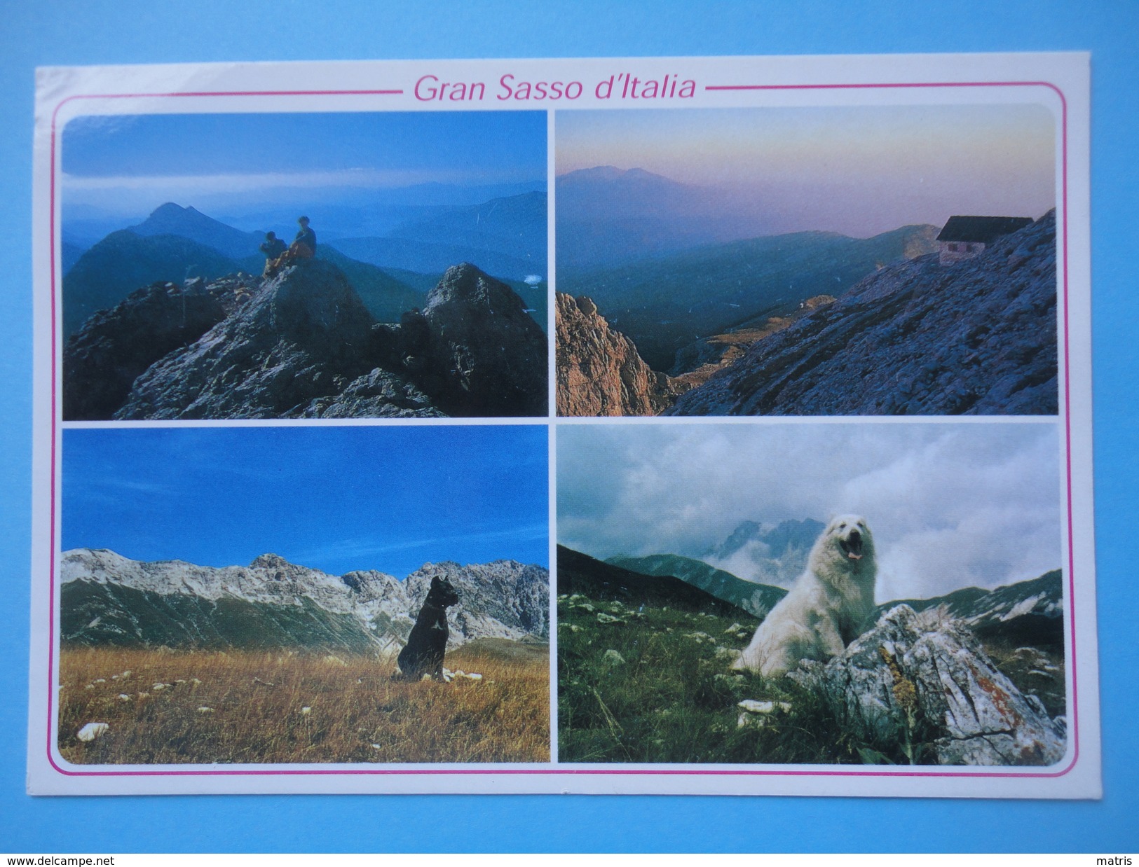 Gran Sasso D'Italia - Abruzzo Incantevole - Vedutine Panorami E Fauna - Autres & Non Classés