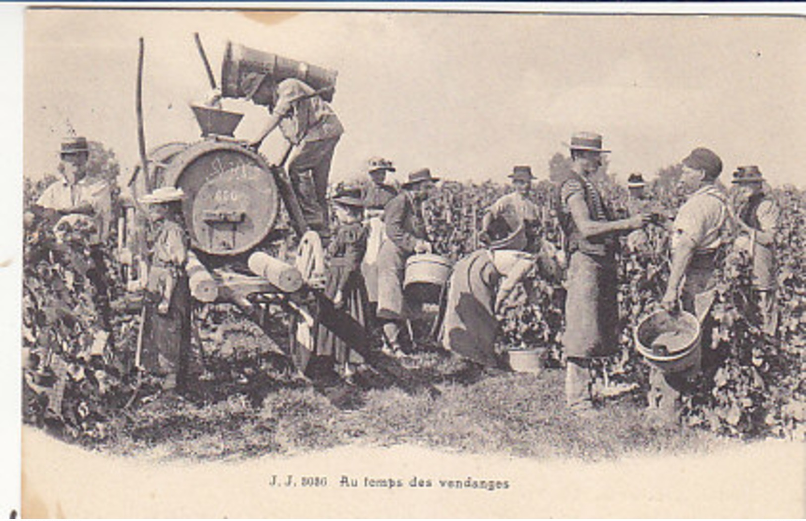 Au Temps Des Vendanges - 1911       (P-67-60216) - Vignes