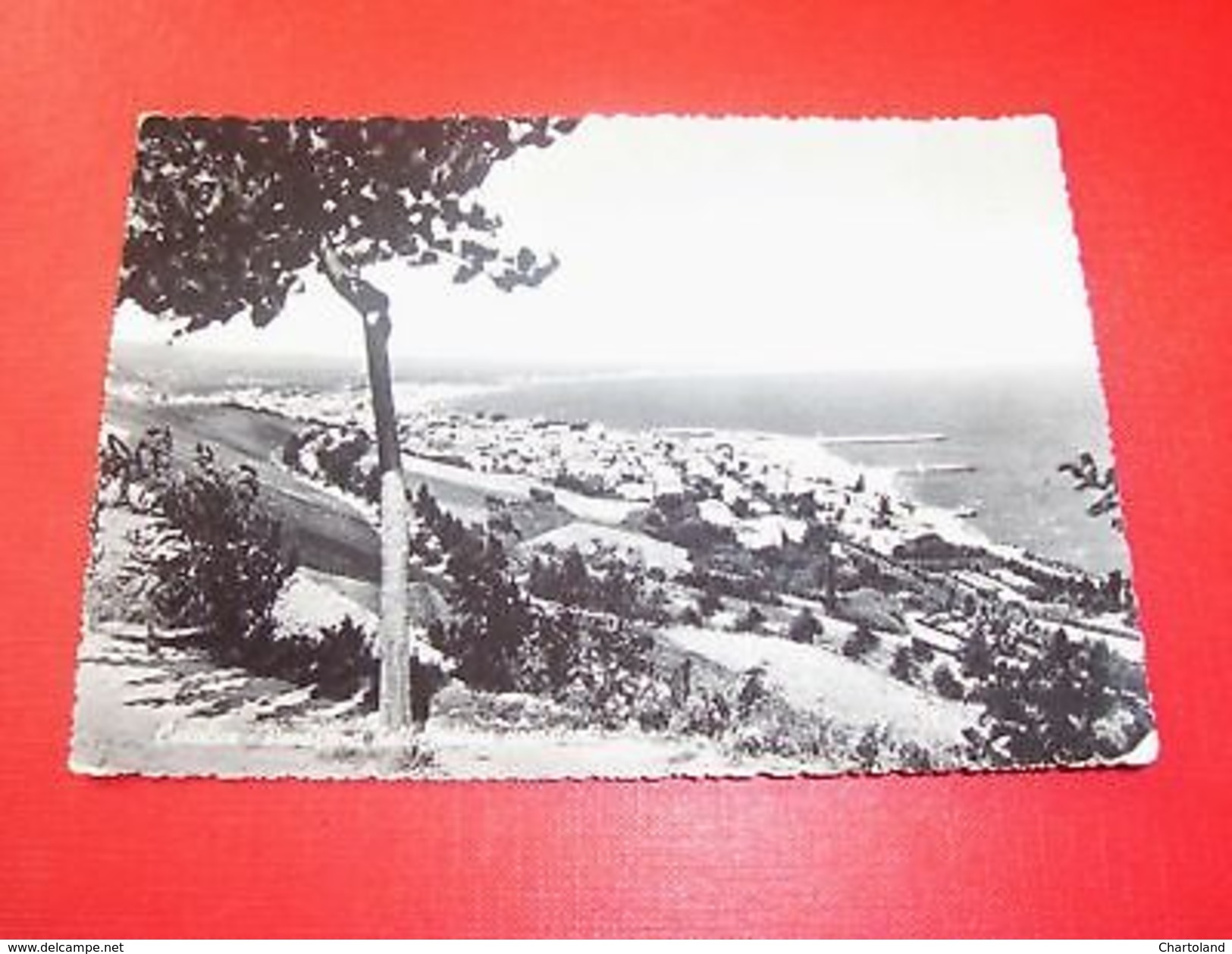 Cartolina Cattolica - Panorama Generale 1956 - Rimini