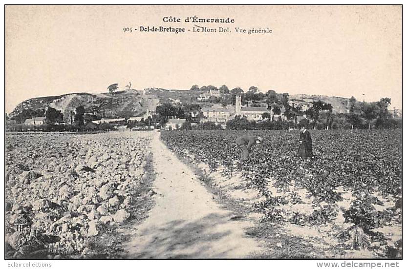 Dol De Bretagne      35      Vue Générale Sur Le Mont Dole         (voir Scan) - Dol De Bretagne