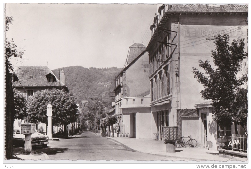 Bg - Cpsm Petit Format VIC Sur CERE (Cantal) - Avenue Fayet - Autres & Non Classés