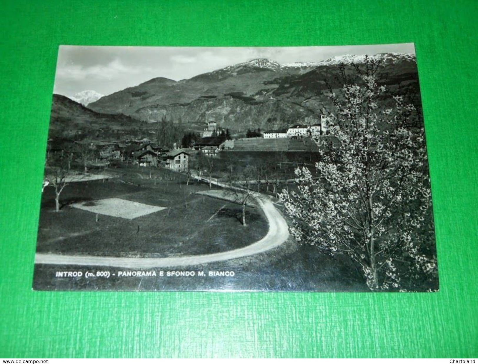 Cartolina Introd - Panorama E Sfondo Monte Bianco 1955 Ca - Other & Unclassified