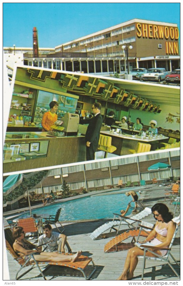Tacoma Washington, Sherwood Inn Hotel, Lunch Counter Interior, Swimming Pool Guests, C1960s/70s Vintage Postcard - Tacoma