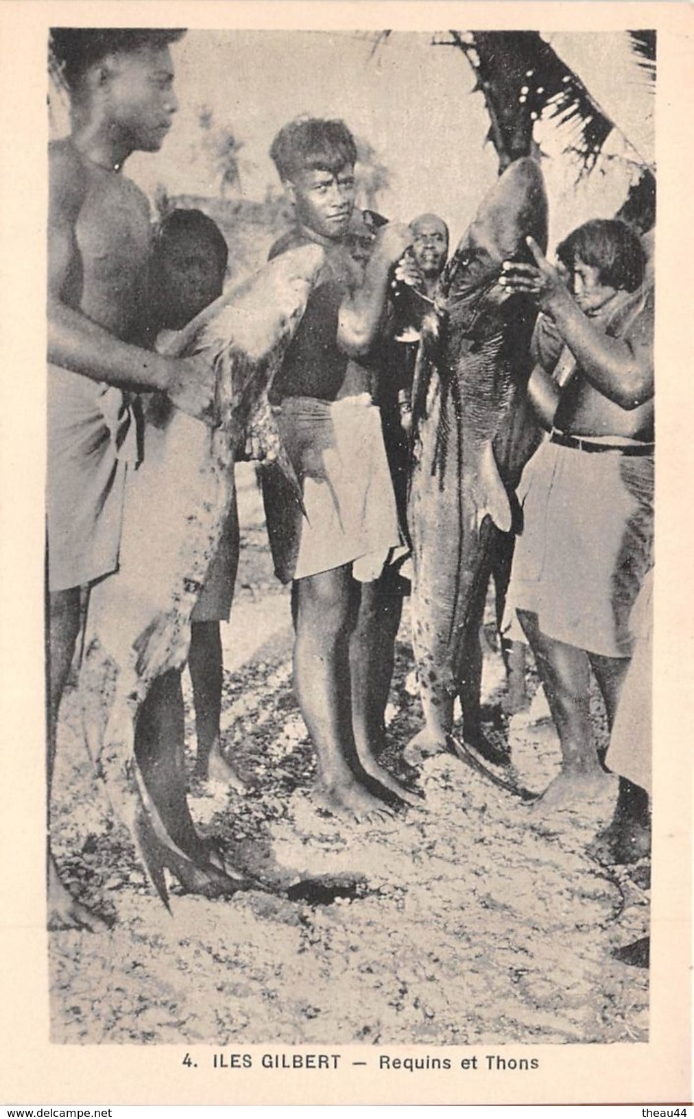 ¤¤  -  4  -  ILES GILBERT   -  Requins Et Thons  -  Pêche , Pêcheurs   -  ¤¤ - Kiribati