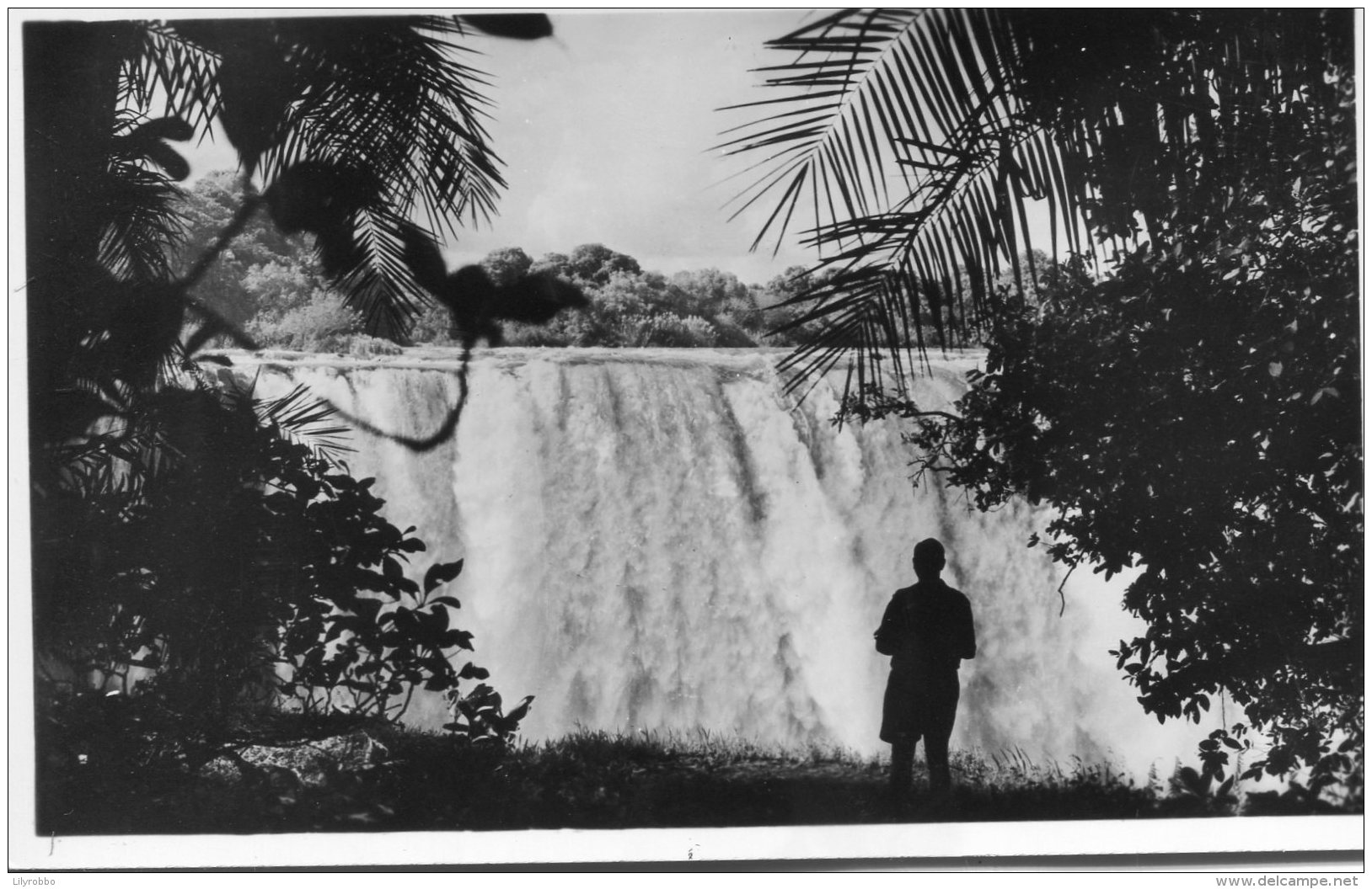 ZIMBABWE -  RPPC Victoria Falls The Main Falls - Rhodesia Railways Ltd  Postcard - Zimbabwe