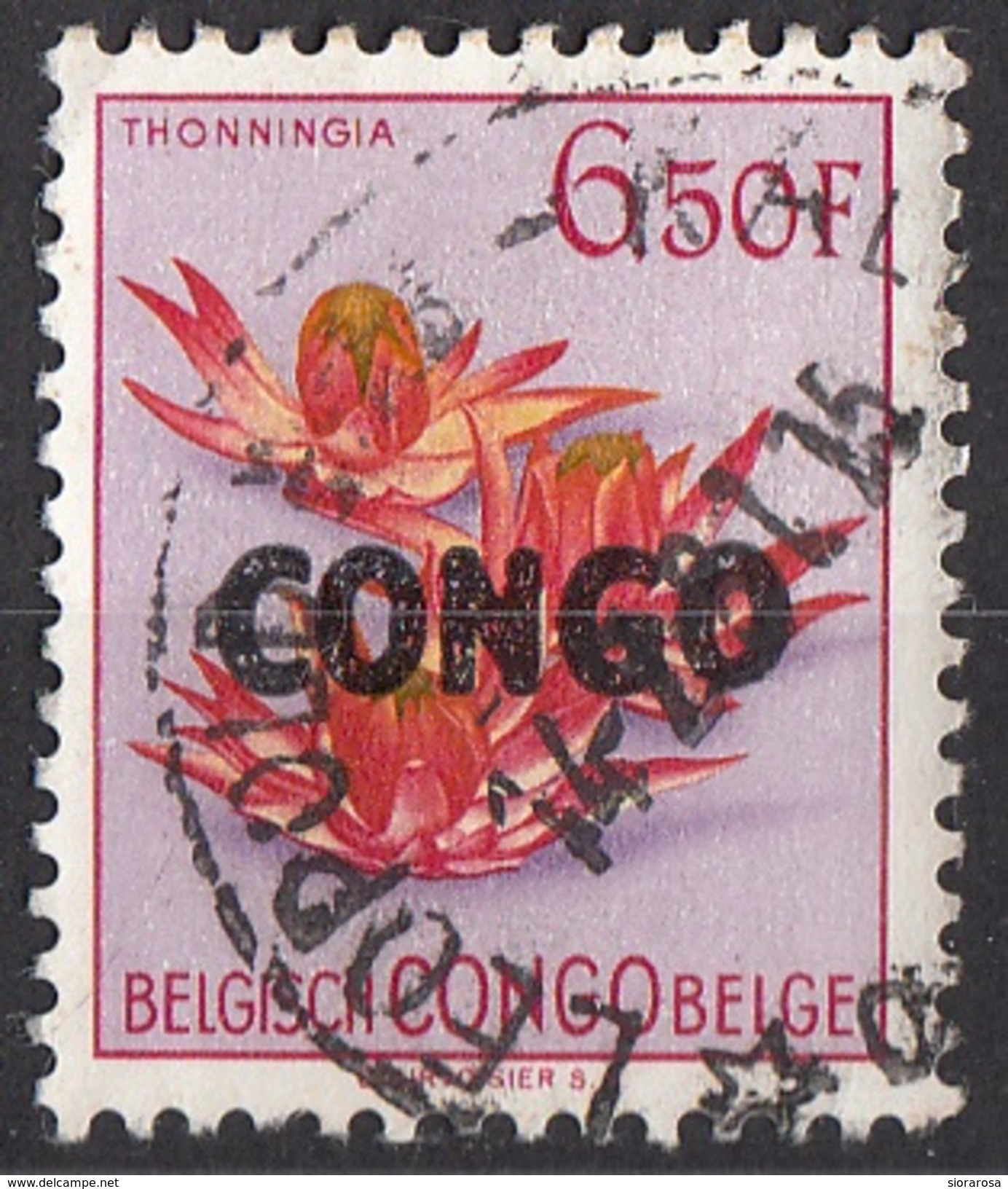 Congo 1960 Sc. 335 Fiori Flowers THONNINGIA Belge Belgisch Used - Altri & Non Classificati