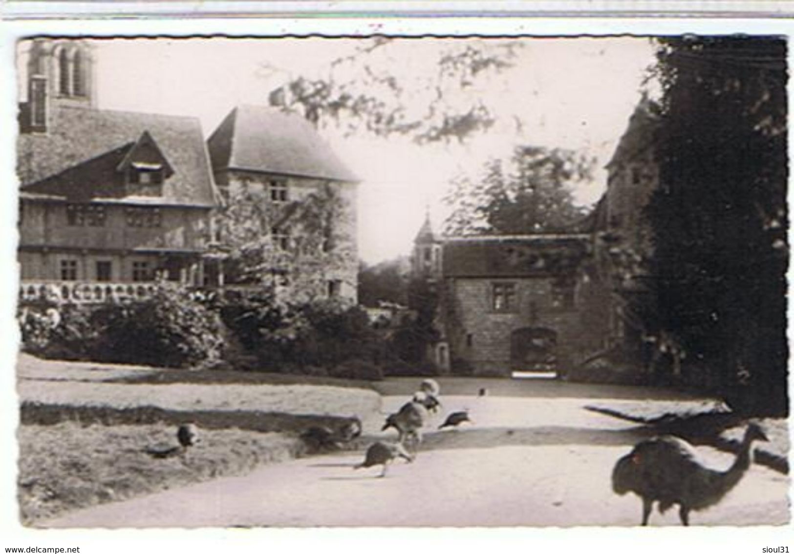 76.CLERES     PARC  ZOOLOGIQUE  ET  LE MANOIR +EMEUS  CPSM  TBE  KK997 - Clères