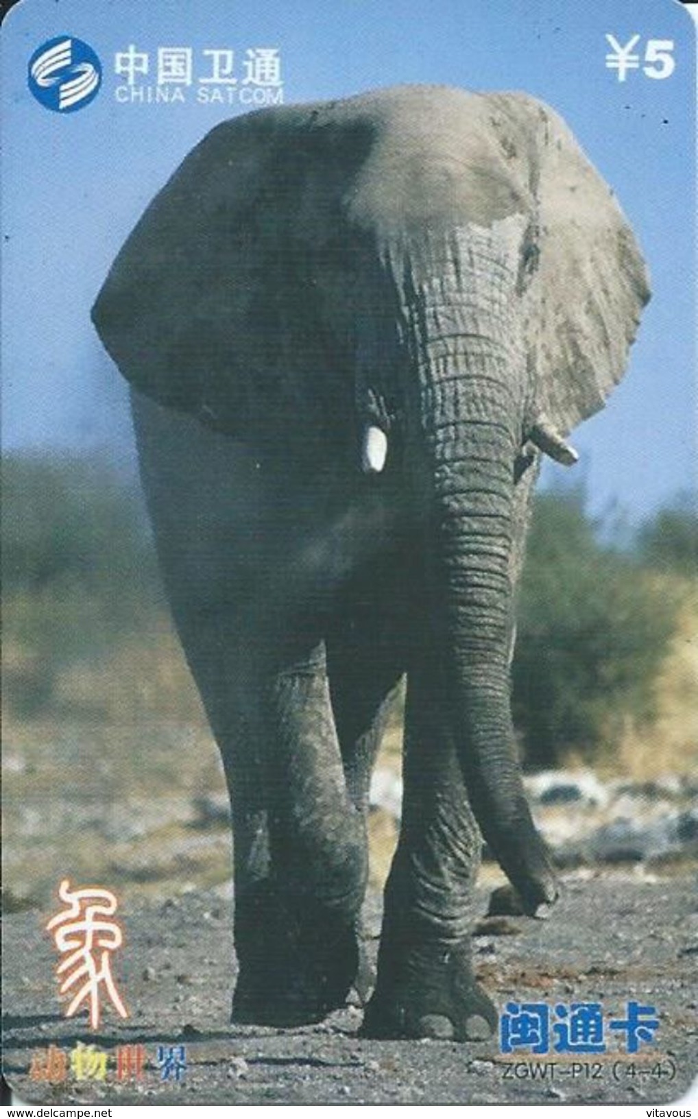 éléphant Elephant Animal Télécarte  Phonecard  Karte (S.272) - Chine