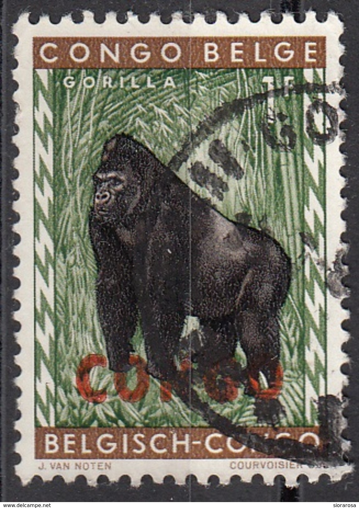 345 Congo 1960 (Democratica) Gorilla Used - Altri & Non Classificati