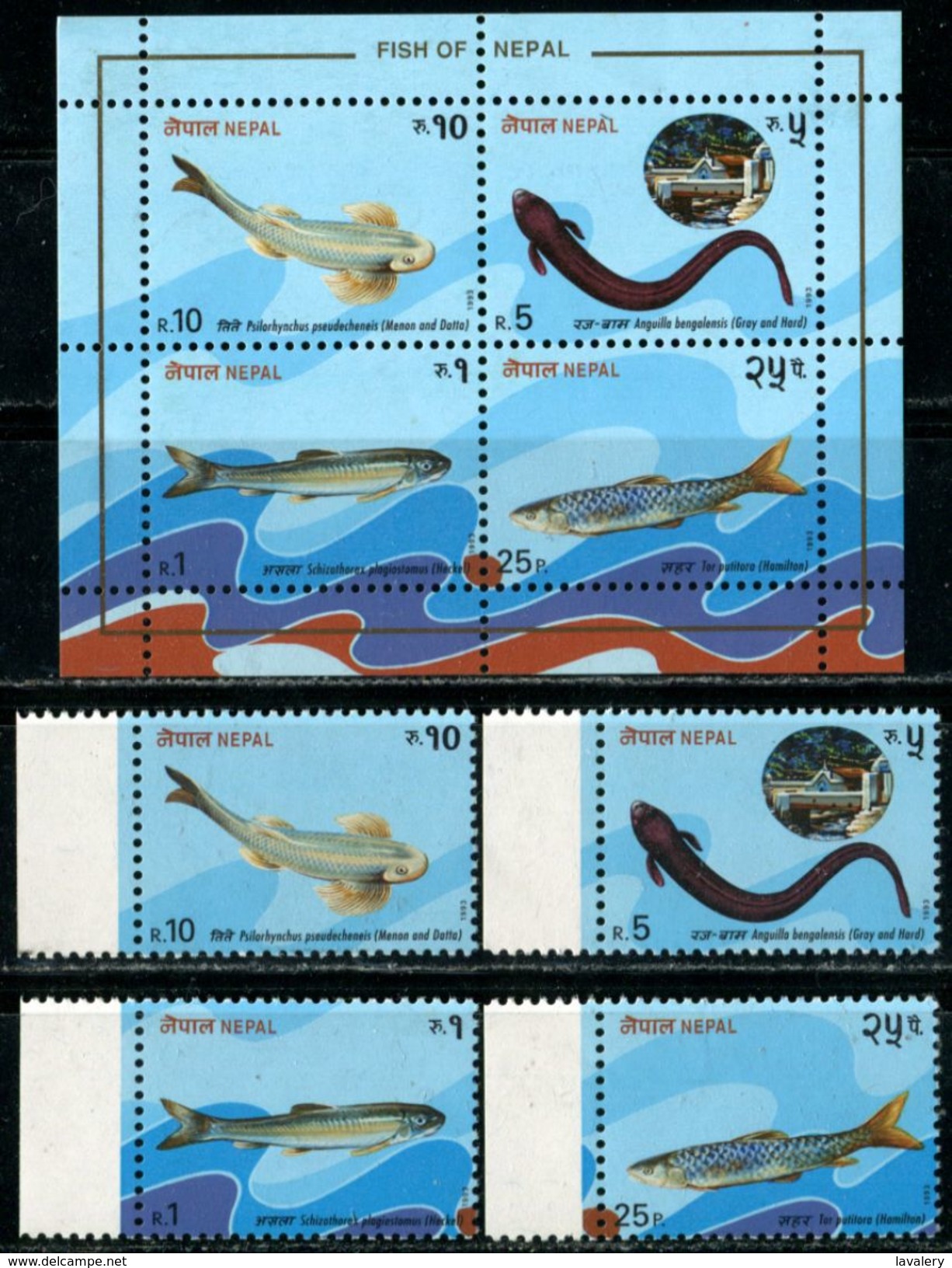 NEPAL 1993 Fish Of Nepal Fishes Marine Life Animals Fauna MNH - Fishes