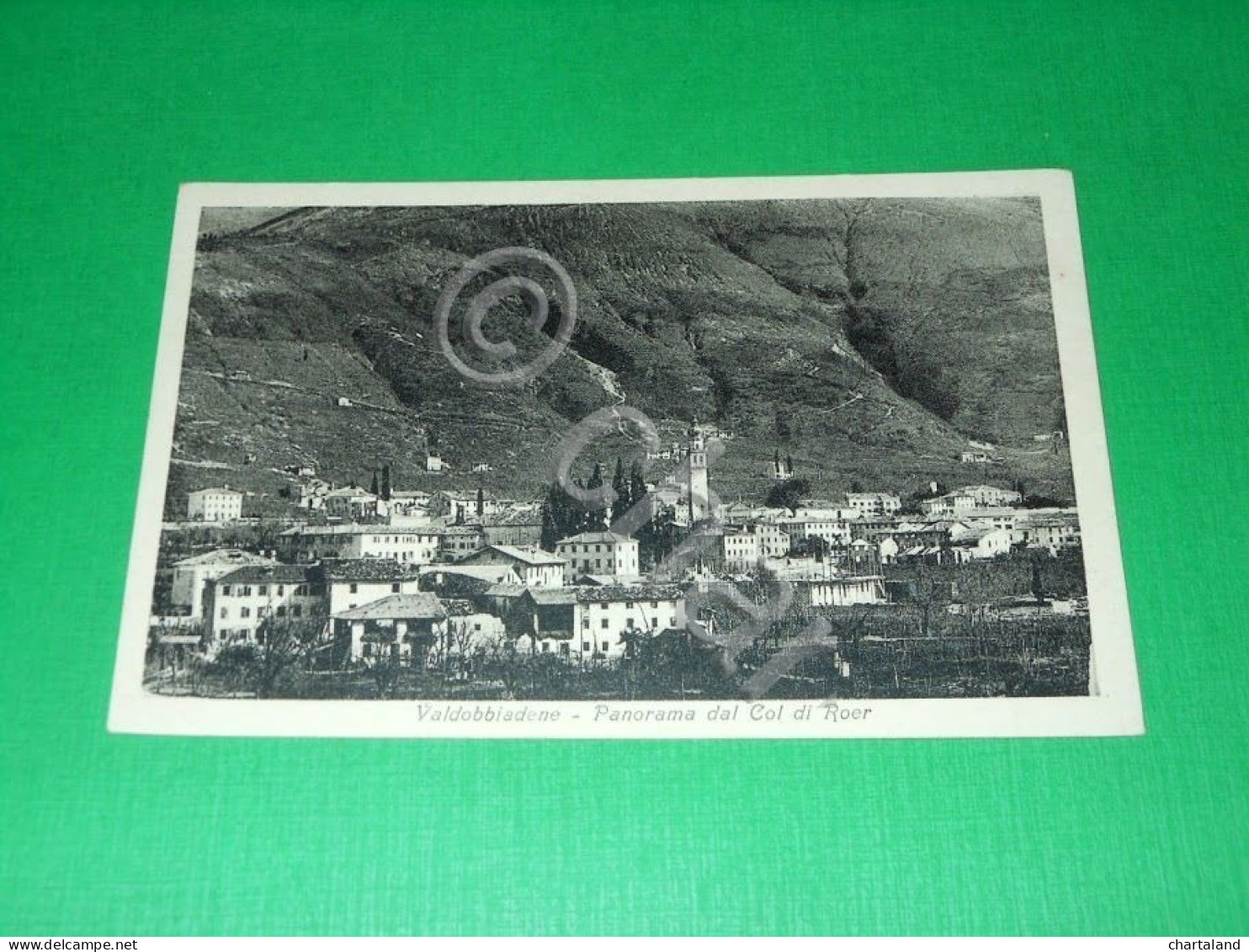 Cartolina Valdobbiadene - Panorama Dal Col Di Roer 1924 - Treviso