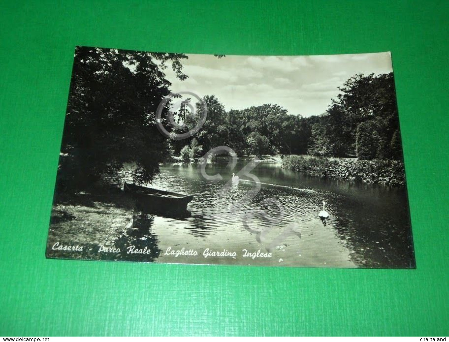 Cartolina Caserta - Parco Reale - Laghetto Giardino Inglese 1954 - Caserta