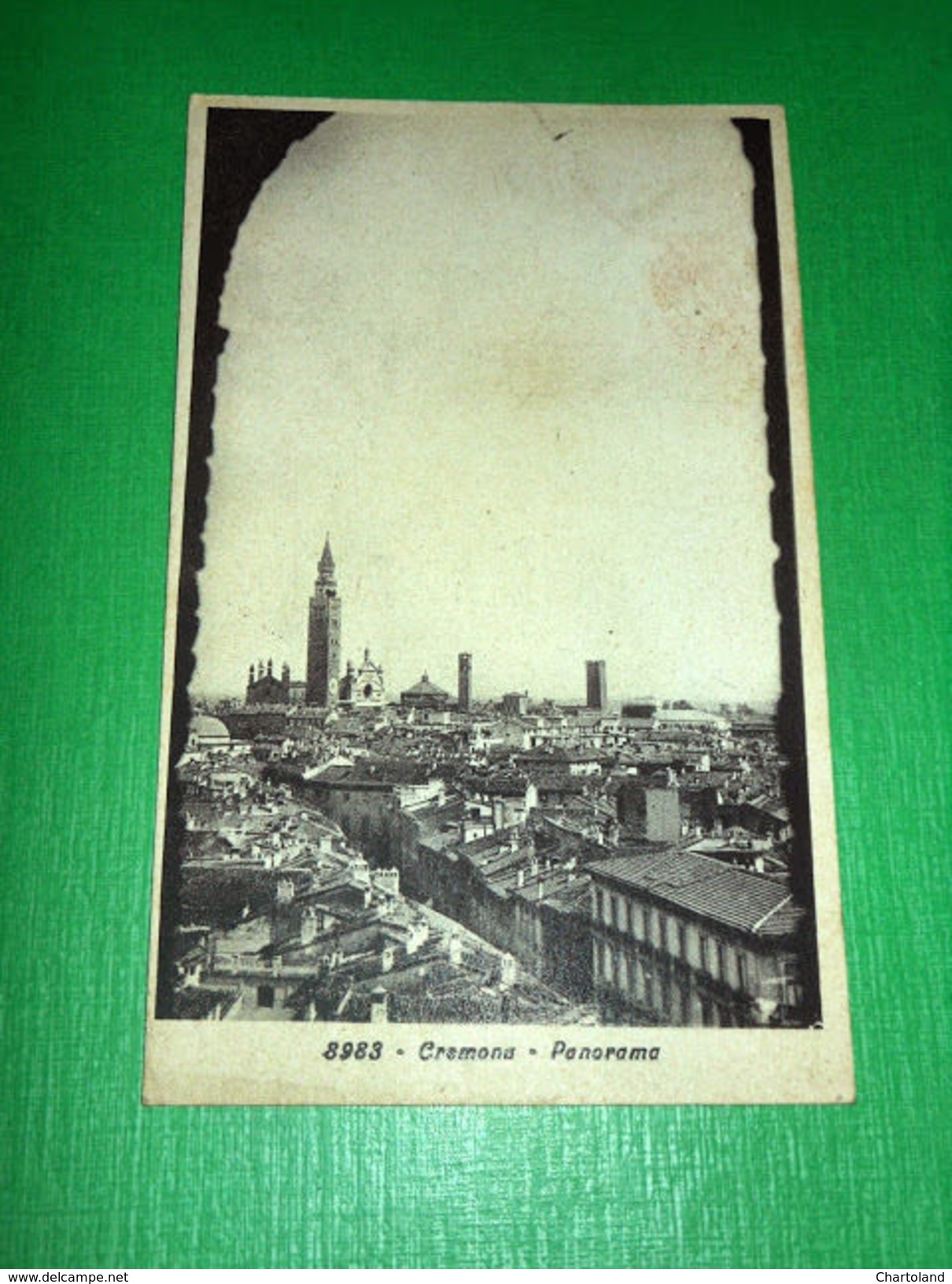 Cartolina Cremona - Panorama 1931 - Cremona