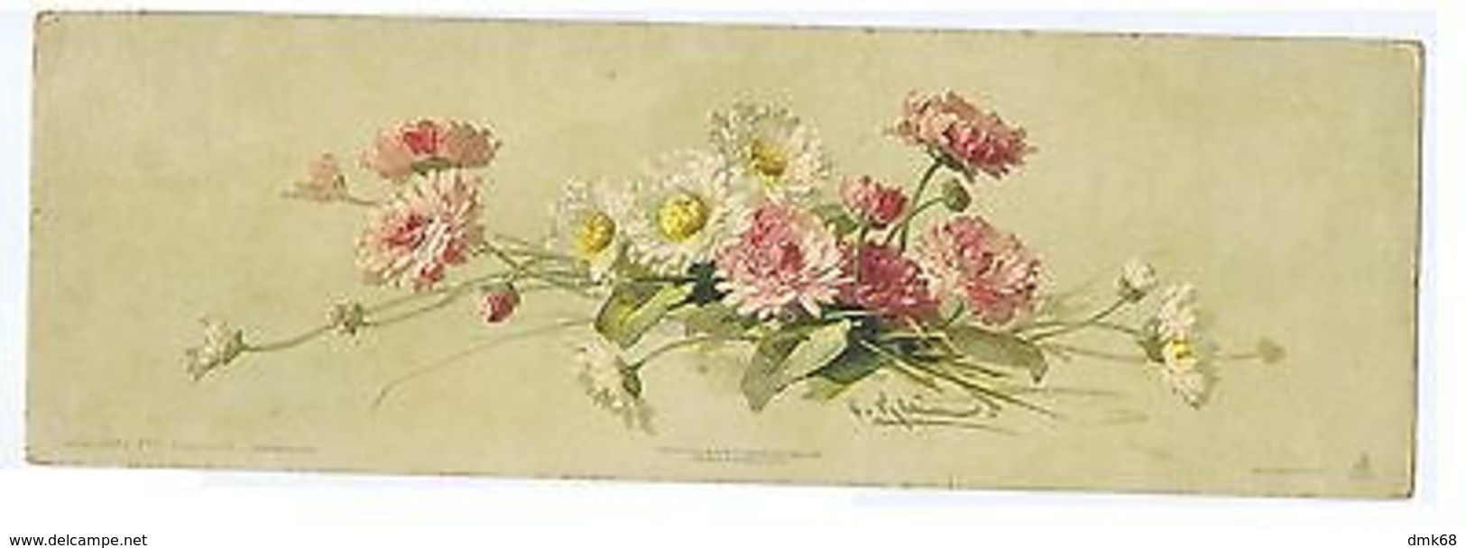 CATHERINE KLEIN - HEPATICA - EDIT R. TUCK & SON - LARGE FORMAT - RARE - 1900s - Unclassified