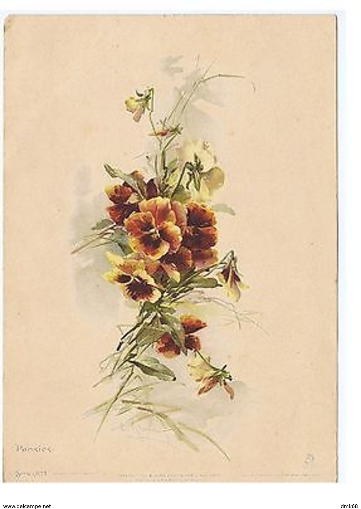 CATHERINE KLEIN - PANSIES - EDIT R. TUCK & SON - LARGE FORMAT - RARE - Unclassified