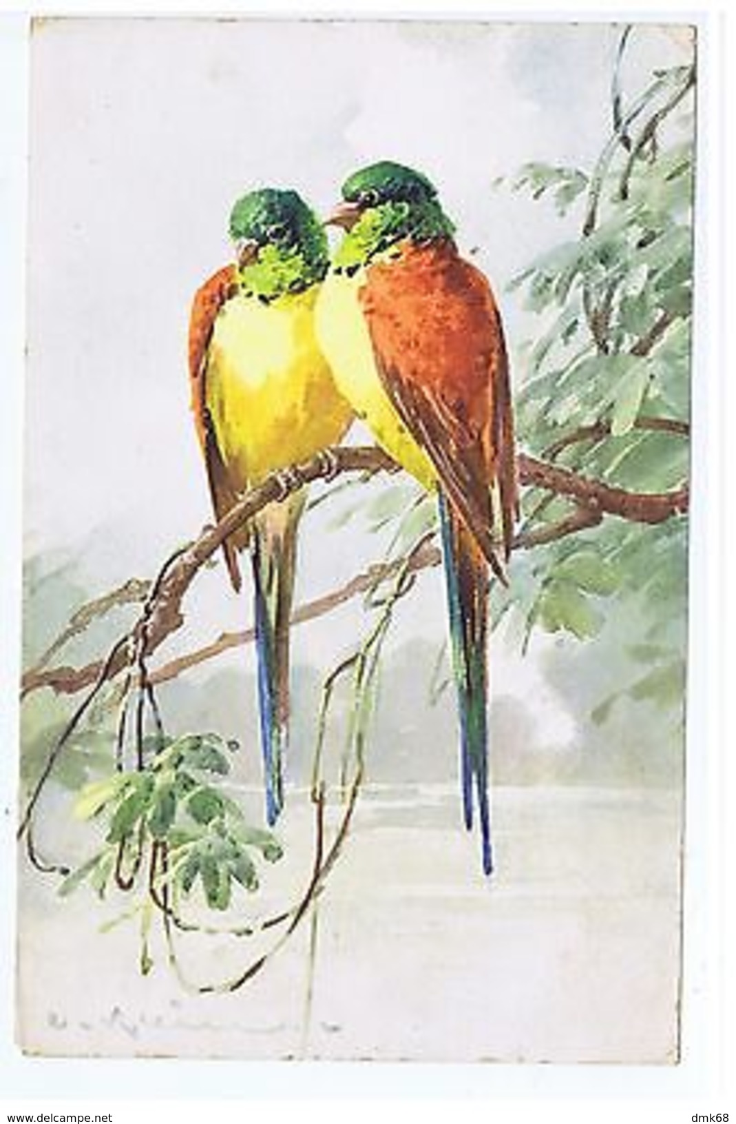 CATHERINE KLEIN - PARROTS - EDIT STEHLI FRERES - LARGE FORMAT - RARE - 1923 - A - Unclassified