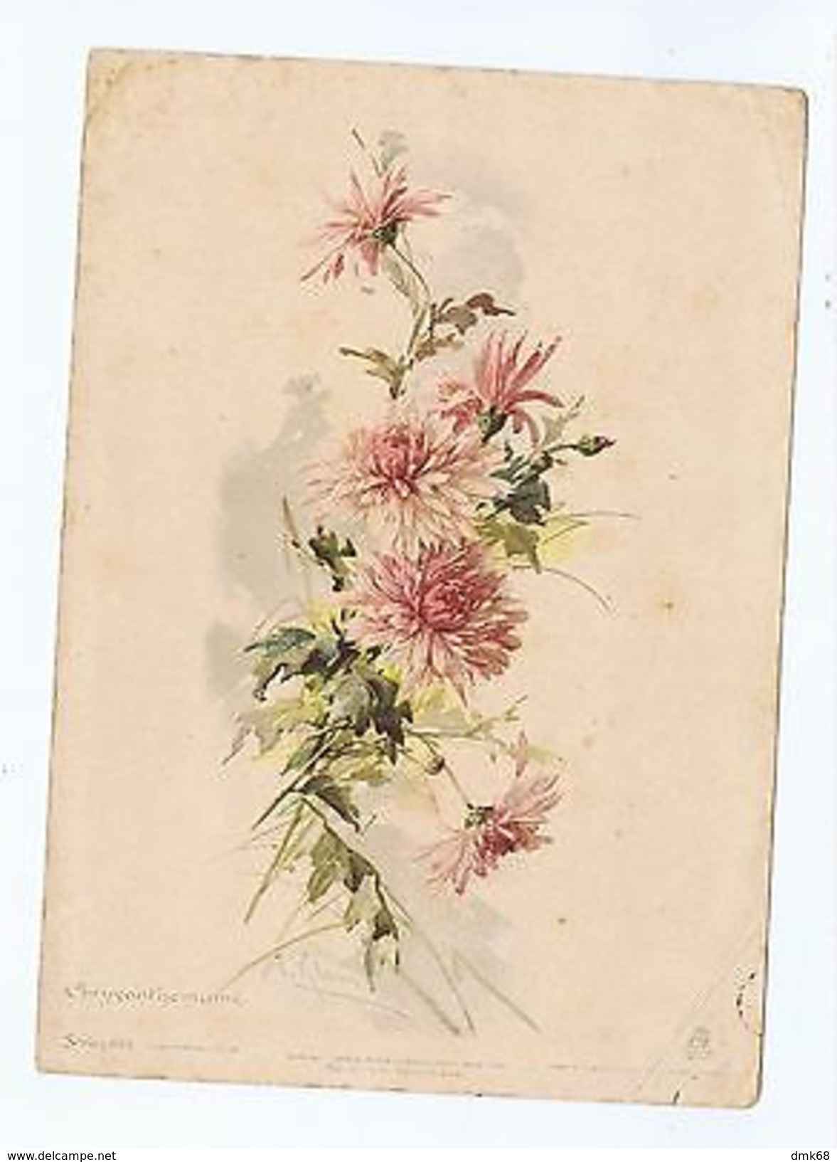 CATHERINE KLEIN - CHRYSANTHEMUMS - EDIT R. TUCK & SON -  FORMAT  7.6'' * 5.5'' - Unclassified