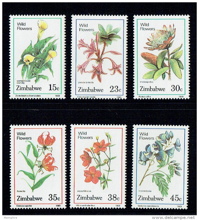 1989  Fleurs Sauvages  Série Complète ** -  Wildflowers  MNH - Zimbabwe (1980-...)